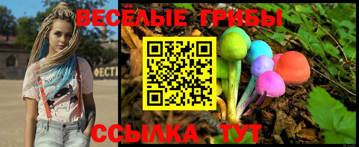 Баксан  Галлюциногенные грибы прущие грибы  Вход с VPN 